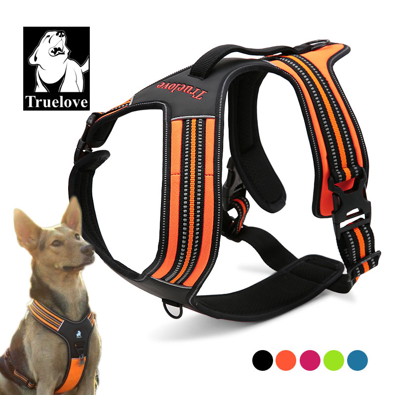 Outdoor Adventure Xl - Szelki dla psa Truelove Sport Nylon