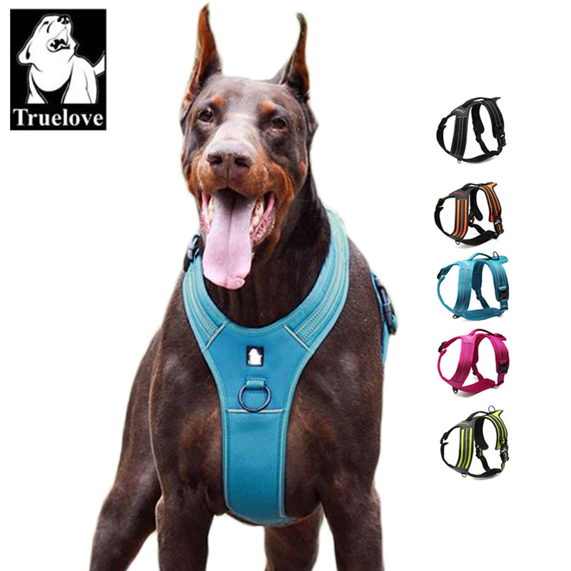 Szelki dla psa Truelove Sport  – Outdoor Adventure Xl recenzja i cena